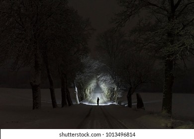 Man standing outdoors at night in tree alley shining with flashlight. Beautiful dark snowy winter night. Nice landscape and nature photo with frost and snow in trees. Calm, peaceful abstract picture.