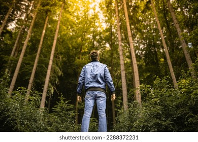 Man standing in a pine forest looking up in awe at enjoying feeling free in nature 