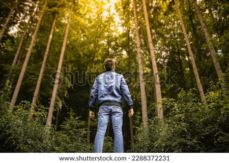 Man standing in a pine forest looking up in awe at enjoying feeling free in nature  Foto stock © 