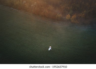 Takigyo High Res Stock Images Shutterstock