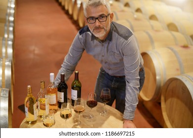 Man Standing In Winery Around Table