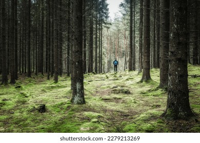 A man stands alone in a peaceful forest, surrounded by lush green growth and moss-covered tree trunks. His tranquil appreciation of nature reflects the beauty of Swedens wilderness. - Powered by Shutterstock