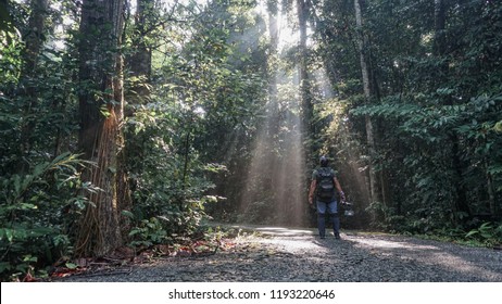 Man stands in rays of light in forests. 