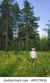 Man in a straw hat back view standing in pine forest at summer day. Vintage Film filter.