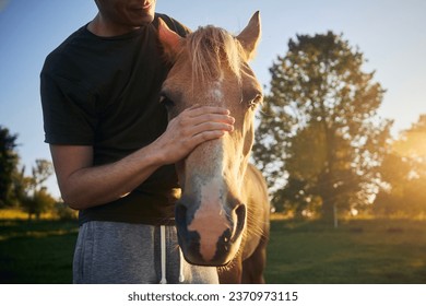 Man is stroking head of therapy horse at beautiful summer sunset. Themes hippotherapy, care and friendship between people and animals.
