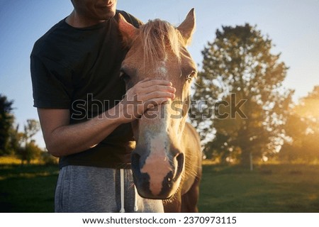 Man is stroking head of therapy horse at beautiful summer sunset. Themes hippotherapy, care and friendship between people and animals.
