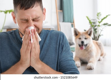 犬 くしゃみ の写真素材 画像 写真 Shutterstock