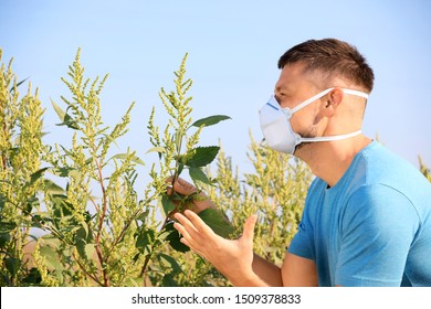 Man Suffering From Ragweed Allergy Outdoors On Sunny Day