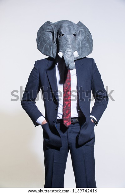 elephant grey suit