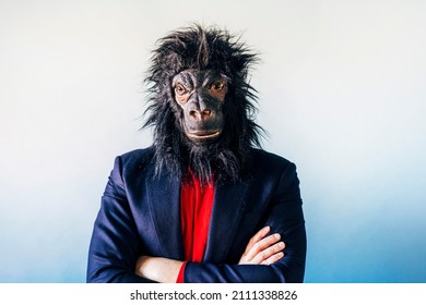 Man In A Suit And With A Gorilla Mask.