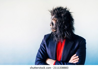 Man In A Suit And With A Gorilla Mask.