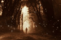 Man In Surreal Magical Forest In Sunset Light