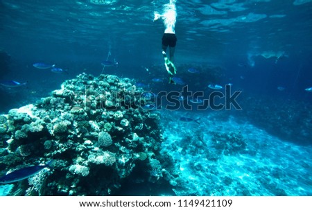 A man is swimming among coral reefs, amazing sea