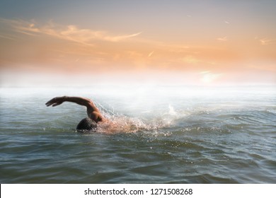 Swimming Sea Images Stock Photos Vectors Shutterstock