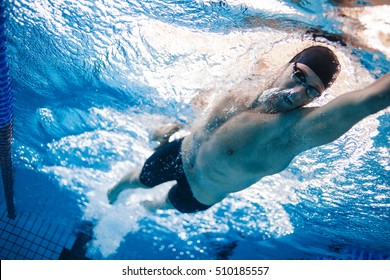 Man swimming the front crawl in a pool. Underwater shot of professional swimmer practising for race in swimming pool.