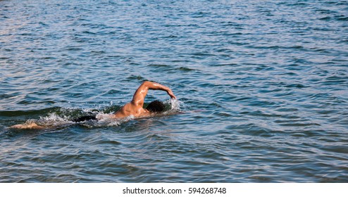 Man Swimming In Lake Ontario