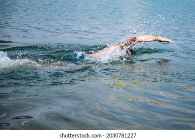 Man Swimming In Open Water Lake