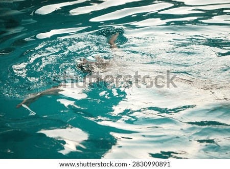 A man swimming in a pool.