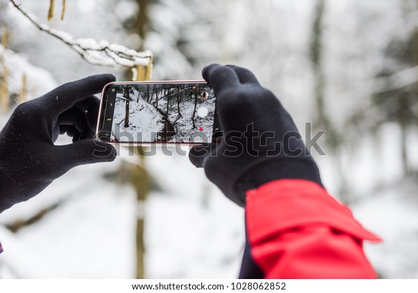 Man takes a picture on mobile phone in
the snow-covered pine forest on a cold winter
day