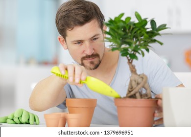 Man Taking Care Of Bonsai Plant