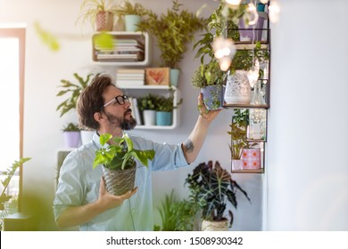 Man taking care of her potted plants at home
 - Powered by Shutterstock