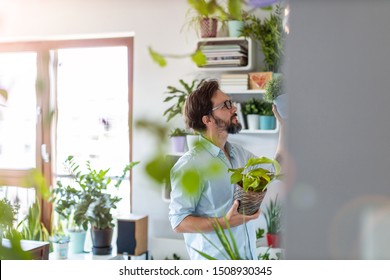 Man Taking Care Of Her Potted Plants At Home
