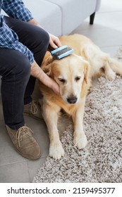 Man Taking Care Of His Dog At Home, He Is Brushing His Fur