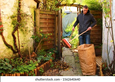 Man Taking Care Of His Garden By Picking Up Dead Leaves With A Shovel And A Broom. Prepare The Arrival Of Winter With Compost Foliage.