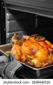 Man Taking Whole Cooked Chicken Out Of An Oven With Tea Towel.  Selective Colour Image