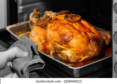 Man Taking Whole Cooked Chicken Out Of An Oven With Tea Towel.  Selective Colour Image