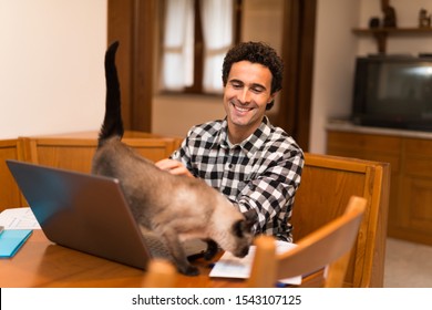 Man Teleworking At Home And Playing With His Cat