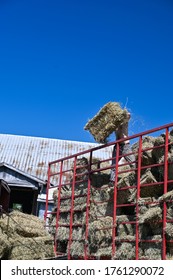 Man Throwing Bale Of Hay