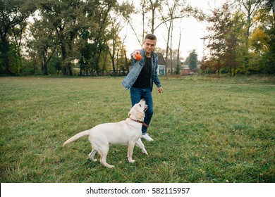 Man throwing ball to dog Labrador in park at sunset. Best friends playing in ball 