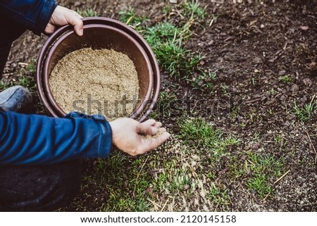 Man throwing lawn seed on withered meadow, gardening