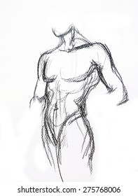 Man torso Sketch Pencil drawing
