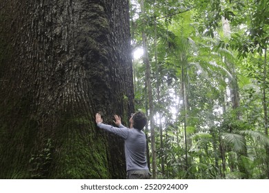 man touching a centuries-old chestnut tree in the Amazon rainforest in Alta Floresta, Mato Grosso