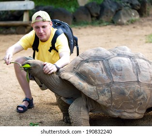 Galapagos giant tortoise Images, Stock Photos & Vectors | Shutterstock