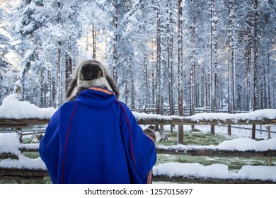 Man In Traditional Sami Clothes Looking At His Deers