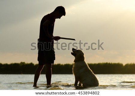 Man training his Golden Retriever dog at beach with a stick