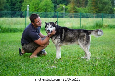 A Man Trains A Husky Dog ​​on A Summer Day.