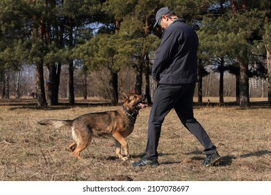 A man trains a zonal German Shepherd in the park in the spring - Powered by Shutterstock