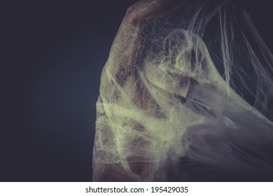 Man trapped in a spider web