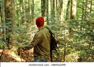A Man Traveler Walks Through The Woods. Beautiful Wild Nature Landscape In Forest. Hiking Journey On Tourist Trail. Outdoor Adventure. Travel And Exploration. Healthy Lifestyle, Leisure Activities