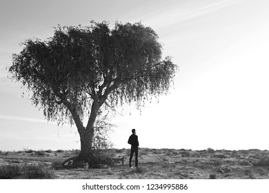 man and tree 