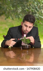 Man Is Trimming A Bonsai Tree