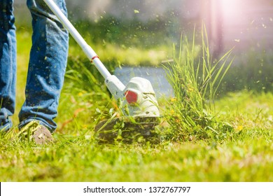 Man trimming fresh grass using brush cutter