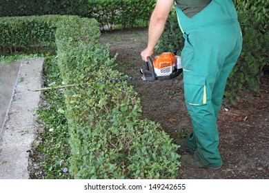 A Man Trimming Hedge In City Park 