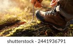 man tying hiking boot shoelace on fallen tree trunk in forest. outdoor footwear and clothing. banner with copy space