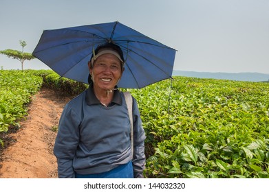 Man with an umbrella hat on a head. Hereditary tea grower in the Chinese province Yunnan