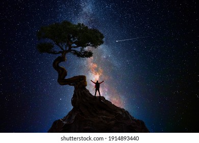 Man under a tree in front of the universe